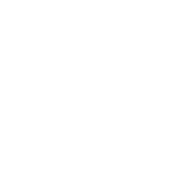 ce logo Lorain