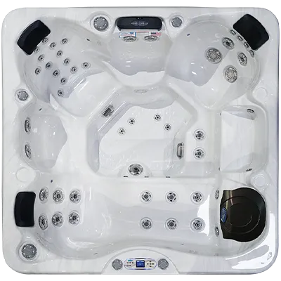 Avalon EC-849L hot tubs for sale in Lorain